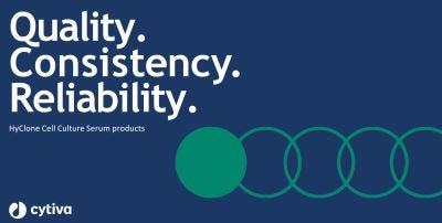 24981 Merch P8 Doc 3