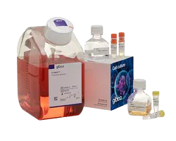 DNA Sequencing Systems