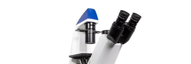 Fluorescence Microscopes