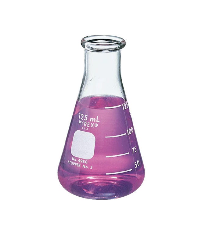 Erlenmeyer Flasks