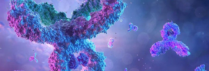 Primary Antibodies