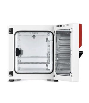 BINDER™ Series BD Avantgarde.Line - Standard-Incubator, with Natural Convection
