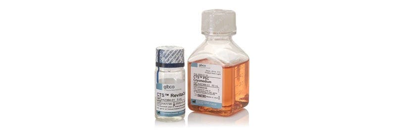 Gibco™ CTS™ PSC Cryopreservation Kit