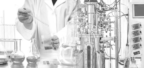 25528_Category_P3_Image