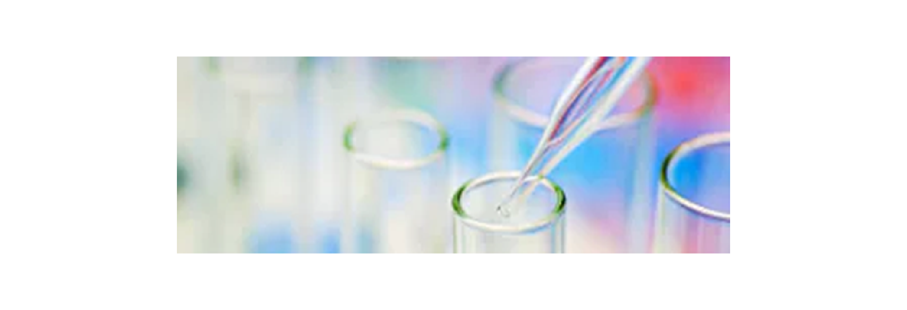 Teaser_Imagery_Layout_4