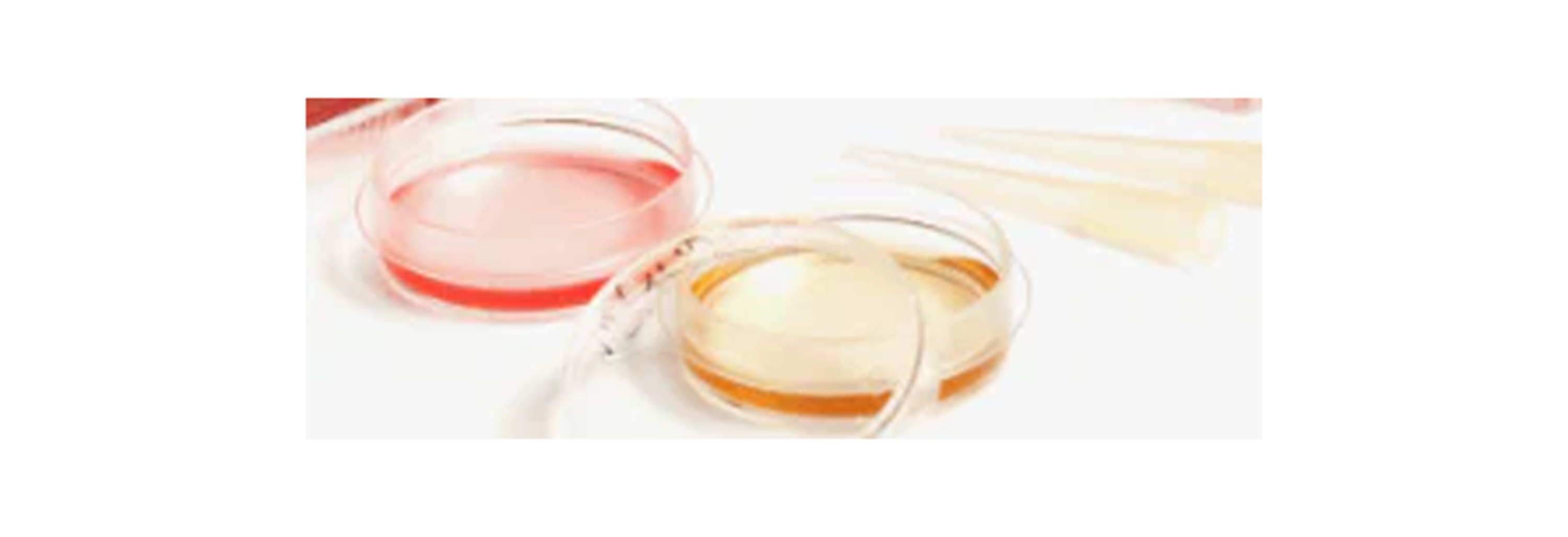 Teaser_Imagery_Layout_2