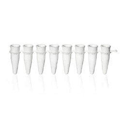 BRAND™ White PCR 8-Strip Tubes
