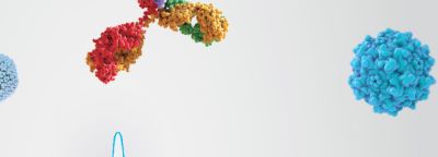 25629_Brand_C4_P1_Doc8