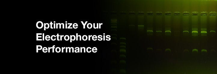 Optimize Your Electrophoresis Performance