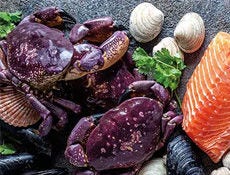 Seafood with a Side of Microplastics