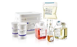 Gibco Cell Culture & Cell Therapy