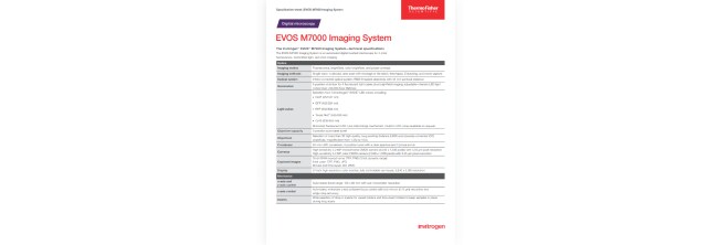 PDF Image
