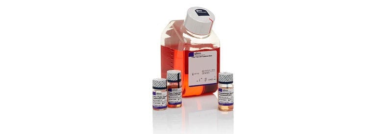 Gibco™ PSC Dopaminergic Neuron Differentiation Kit