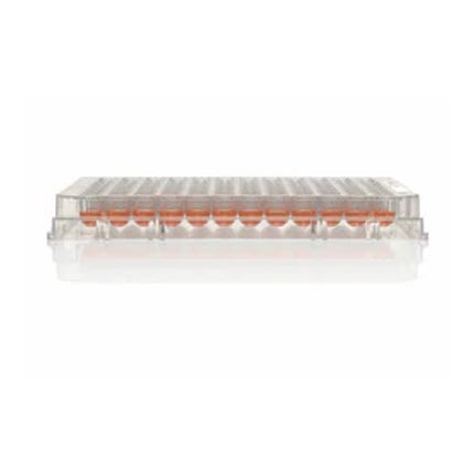 Thermo Scientific™ Nunclon™ Sphera™ 96-Well, Nunclon Sphera-Treated, U-Shaped-Bottom Microplate