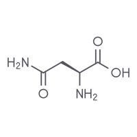 Asparagine