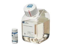 DNA Sequencing Systems