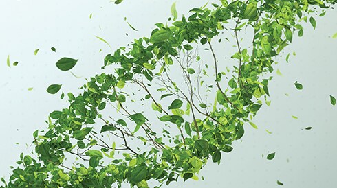 Corning Sustainability Brochure