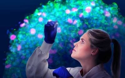 24981 Merch P8 Doc 2