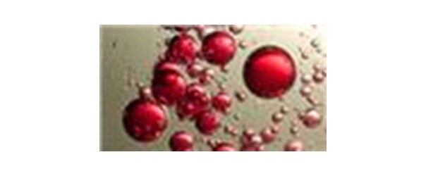 Phenomenex Size Exclusion Chromatography