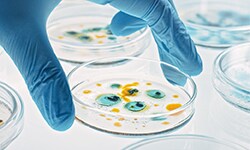 Cell and Gene Therapy