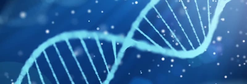 Custom DNA Oligos Tool