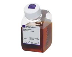 DNA Sequencing Systems