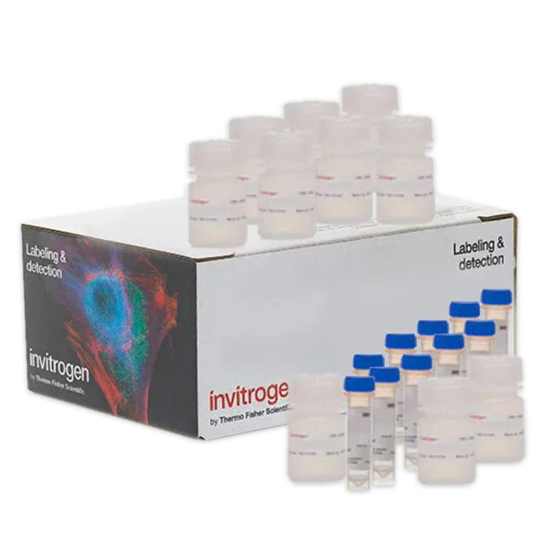 Invitrogen™ CyQUANT™ MTT Cell Viability Assays