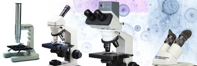 Powerful Yet Easy to Use