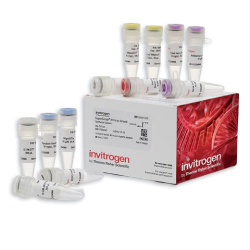 Controlled Environment Cleaners and Disinfectants product banner