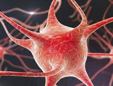 Brain Organoids Usher in New Research Era