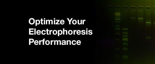 Focus on Electrophoresis