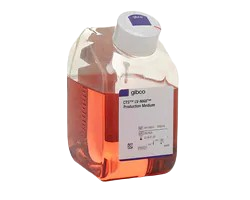 DNA Extraction and Purification