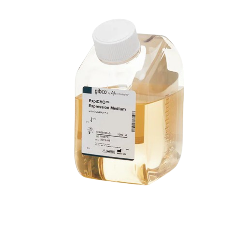 24981_Merch_P1_Product