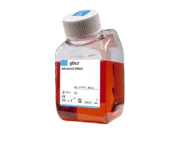 DNA Cloning and Mapping and Mutagenesis
