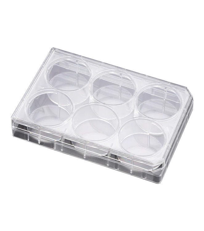 Cell Culture Dishes