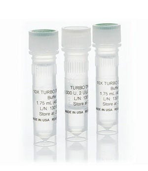 Invitrogen™ TURBO DNase™ (2 U/μL)