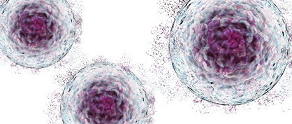 Herausforderungen an die Ausr&uuml;stung bei der Ma&szlig;stabs&uuml;bertragung von Zelltherapieprozessen