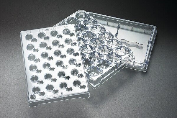 38848_Fisher-image2_24well_600x400 38848_Fisher-image2_24well_600x400