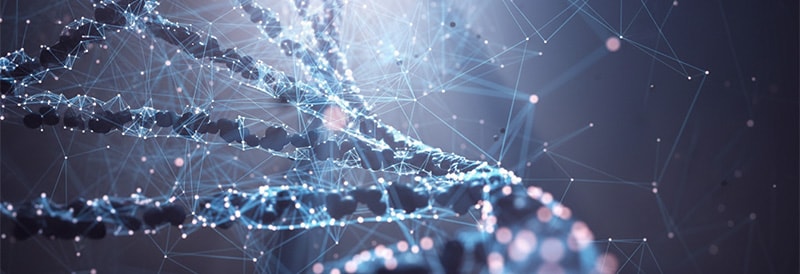 mRNA Vaccines in the Fight Against Cancer 