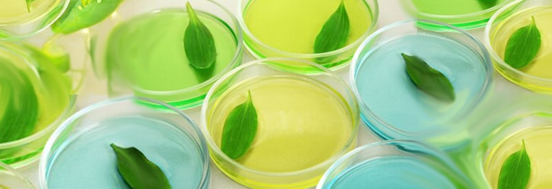 Four Actionable Ways to Prioritize Sustainability in Your Lab