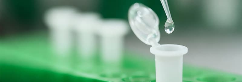 Optimize Your Immunoprecipitation (IP) with ChromoTek Nano-Traps