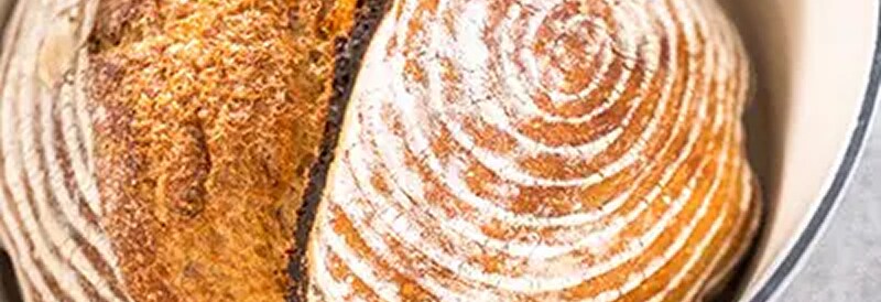 Fermentation Fundamentals: The Science of Sourdough Bread