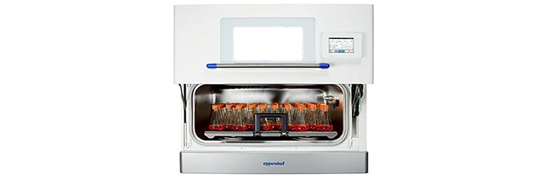 Accelerate Your Growth