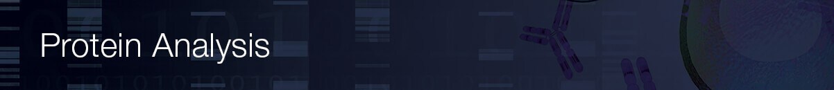 q2-results-cell-culture-workflow-solutions-protein-95872 q2-results-cell-culture-workflow-solutions-protein-95872